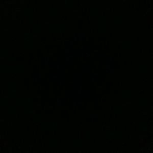 Meet your Posher, Isabella